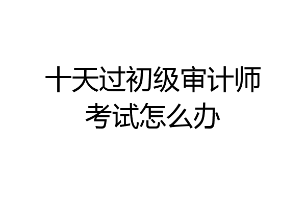 十天过初级审计师考试怎么办