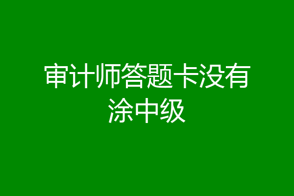 审计师答题卡没有涂中级