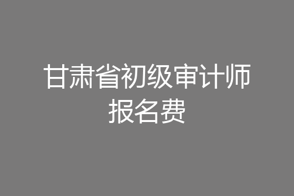 甘肃省初级审计师报名费