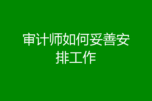 审计师如何妥善安排工作
