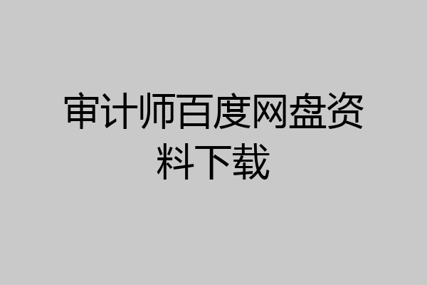 审计师百度网盘资料下载