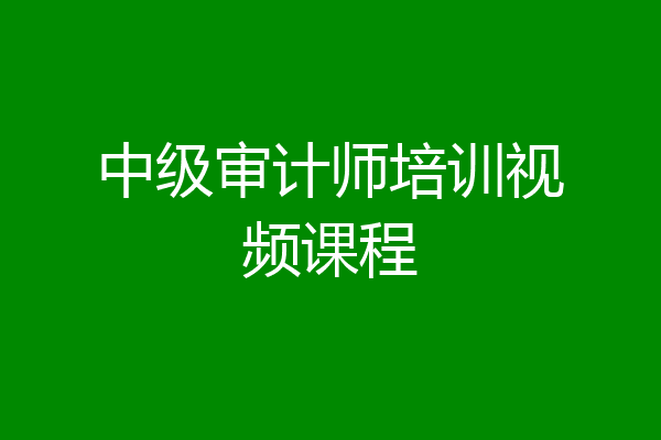 中级审计师培训视频课程