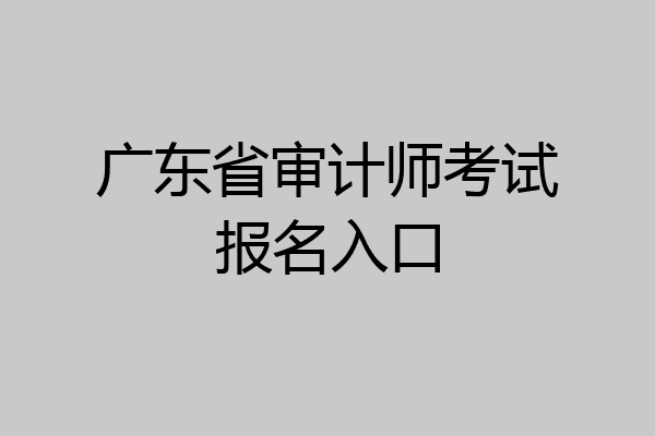 广东省审计师考试报名入口
