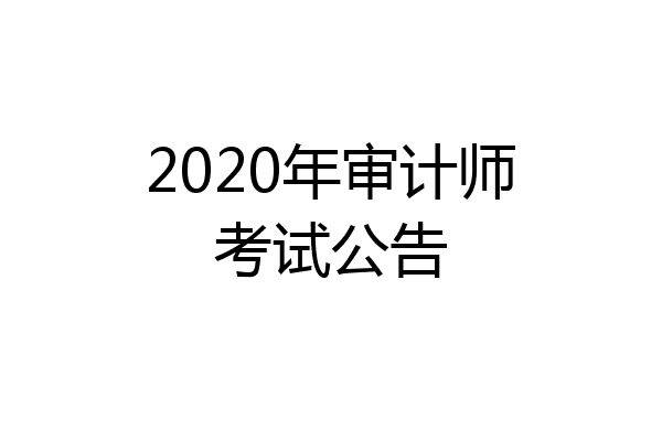 2020年审计师考试公告