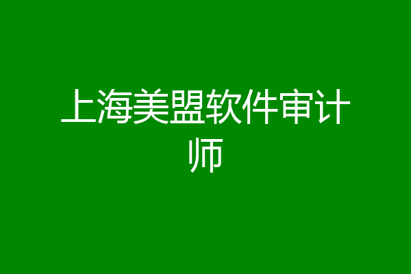 上海美盟软件审计师