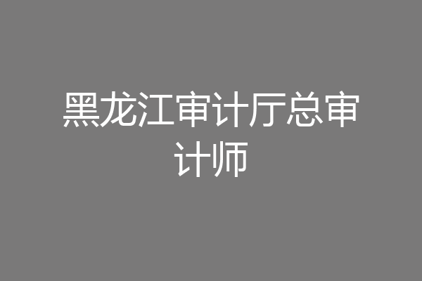 黑龙江审计厅总审计师