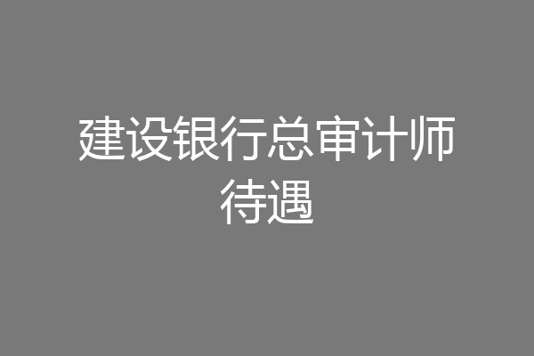 建设银行总审计师待遇