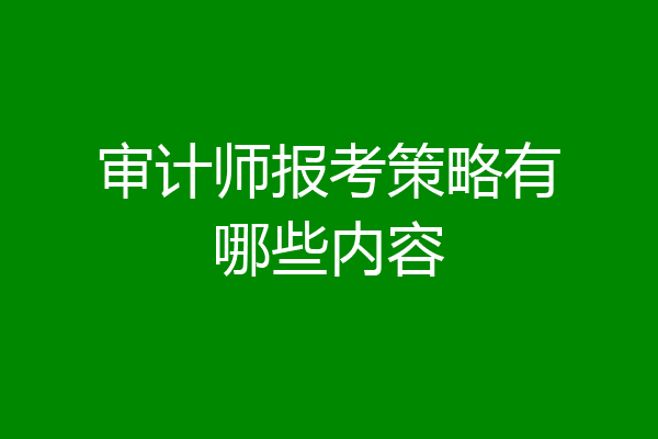 审计师报考策略有哪些内容