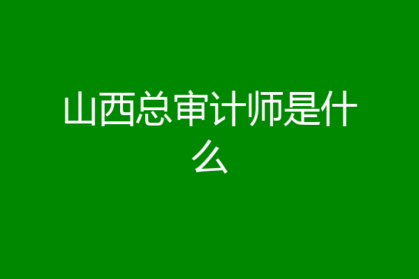 山西总审计师是什么
