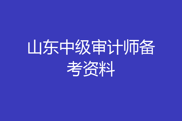 山东中级审计师备考资料