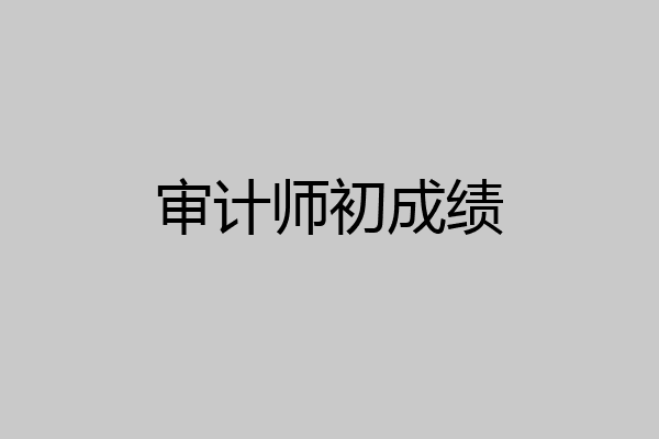 审计师初成绩