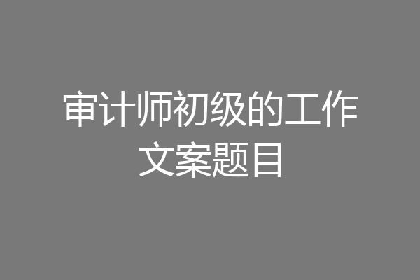 审计师初级的工作文案题目