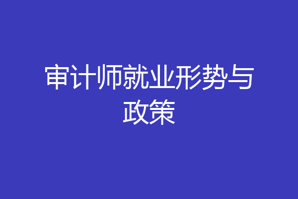 审计师就业形势与政策