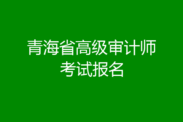 青海省高级审计师考试报名