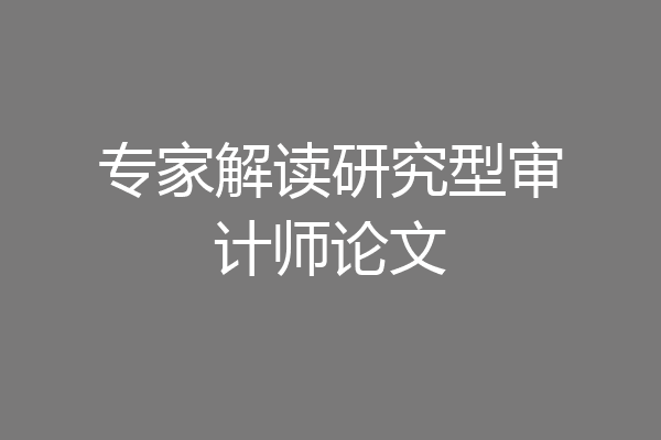 专家解读研究型审计师论文