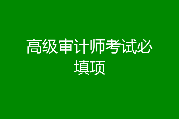 高级审计师考试必填项