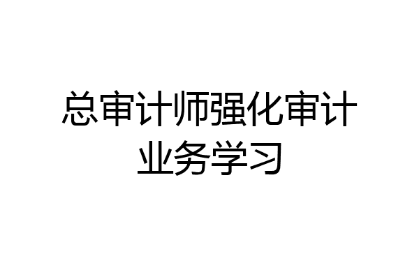 总审计师强化审计业务学习