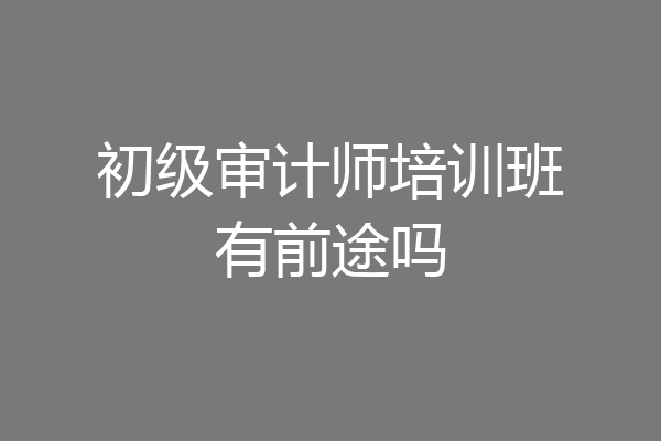 初级审计师培训班有前途吗