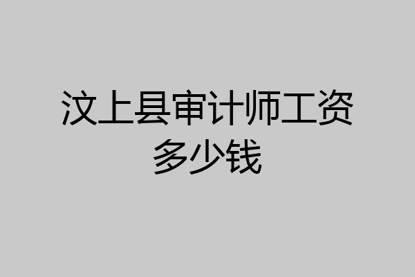 汶上县审计师工资多少钱