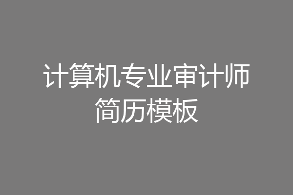 计算机专业审计师简历模板