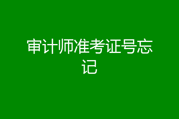 审计师准考证号忘记