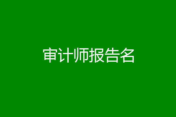 审计师报告名
