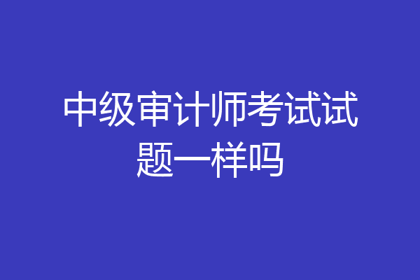中级审计师考试试题一样吗