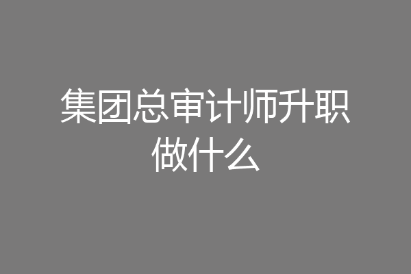 集团总审计师升职做什么