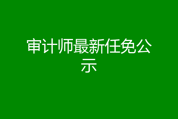 审计师最新任免公示