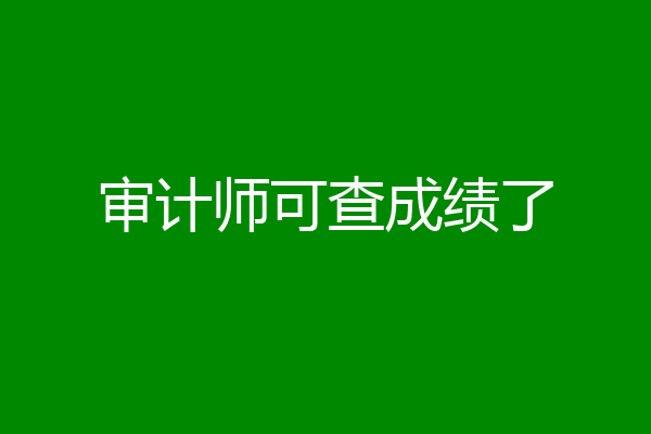 审计师可查成绩了