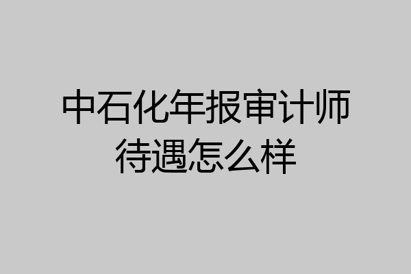 中石化年报审计师待遇怎么样