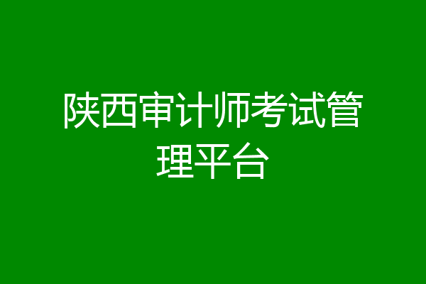 陕西审计师考试管理平台