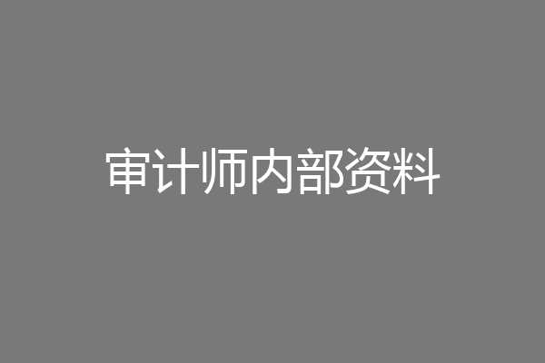 审计师内部资料