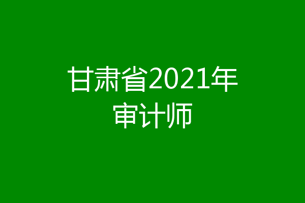 甘肃省2021年审计师