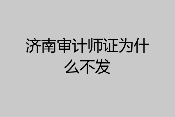 济南审计师证为什么不发