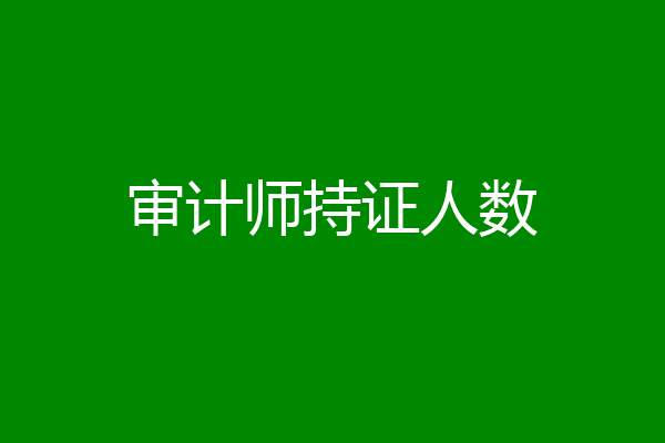 审计师持证人数