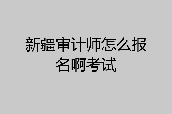 新疆审计师怎么报名啊考试