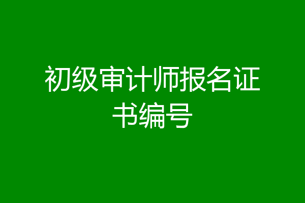 初级审计师报名证书编号
