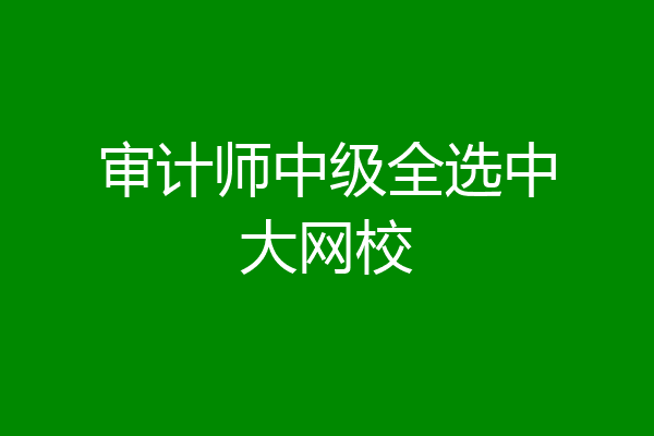 审计师中级全选中大网校