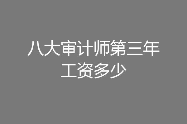 八大审计师第三年工资多少