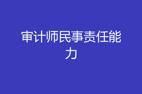 审计师民事责任能力