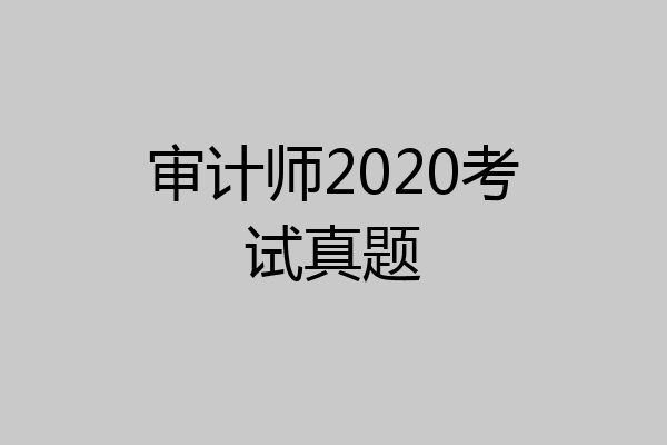 审计师2020考试真题