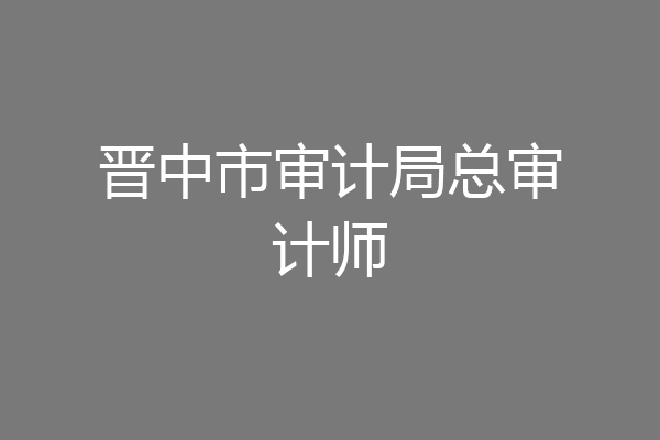 晋中市审计局总审计师