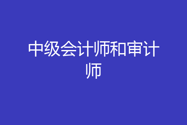 中级会计师和审计师