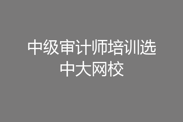 中级审计师培训选中大网校