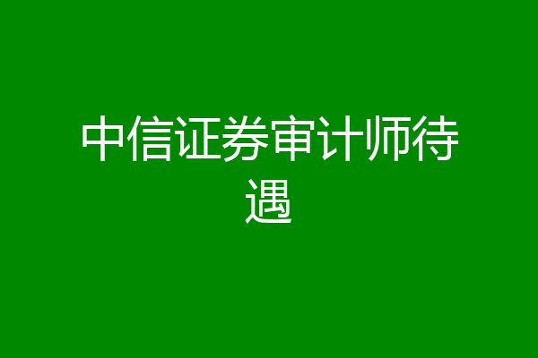 中信证券审计师待遇