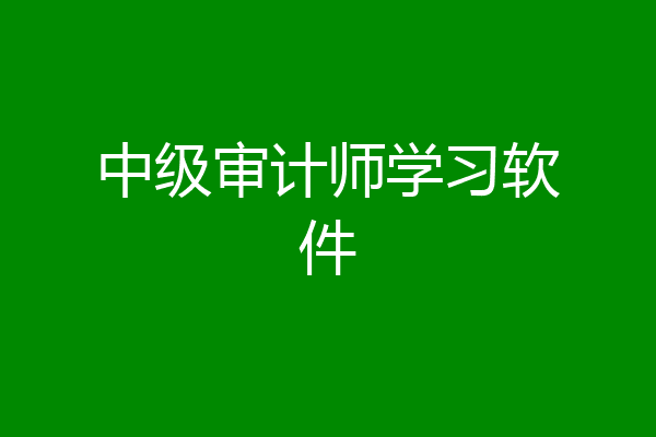 中级审计师学习软件