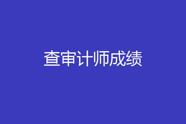 查审计师成绩