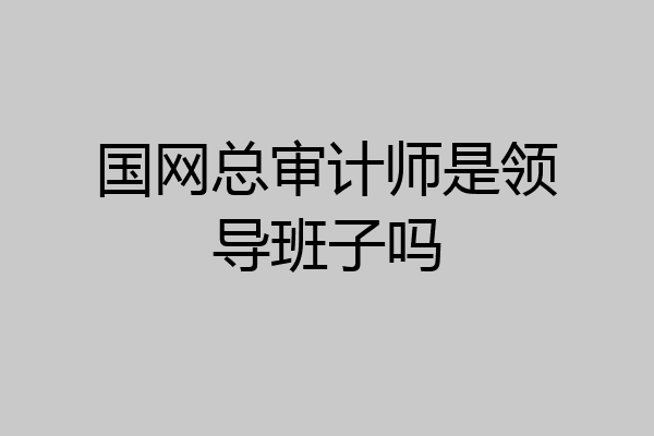 国网总审计师是领导班子吗