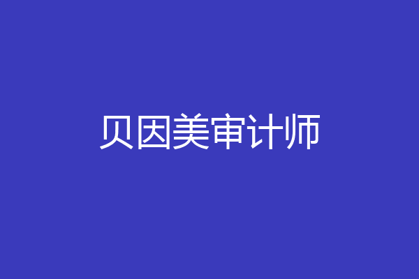 贝因美审计师